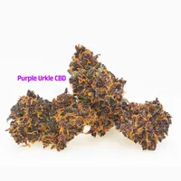 WellspringCBD Wellness Sacks