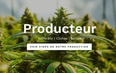 420greenroad.com photo