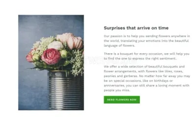 abcflora.com photo