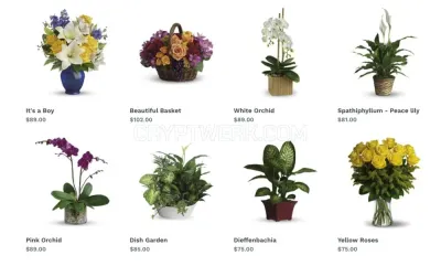 abcflora.com photo