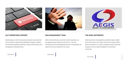 AEGIS Security & Investigations Inc. photo