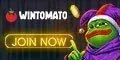 Wintomato photo