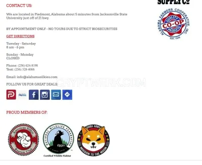 Alabama Silkies photo