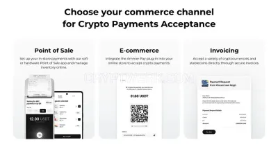 AmmerPay photo