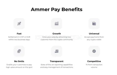 AmmerPay photo