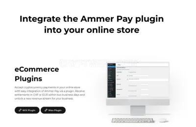 AmmerPay photo