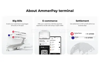 AmmerPay photo
