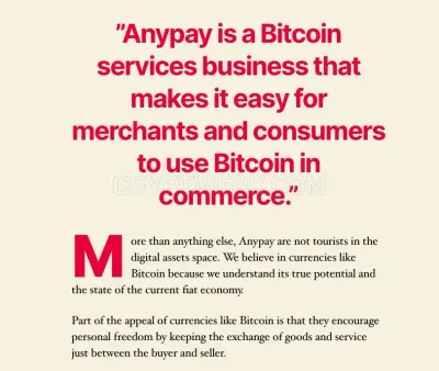 Anypayinc.com photo