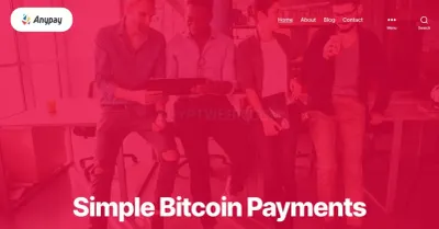 Anypayinc.com photo