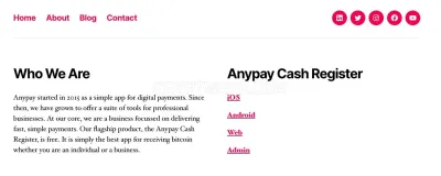 Anypayinc.com photo