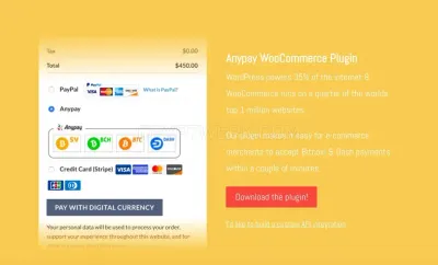 Anypayinc.com photo