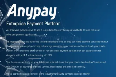 Anypayinc.com photo