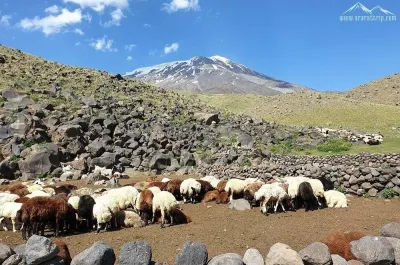 Ararat Trip photo