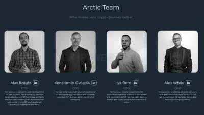 Arctic Wallet photo