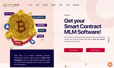 ARM MLM software photo