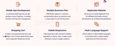 ARM MLM software photo