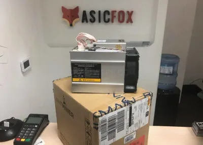 AsicFox photo