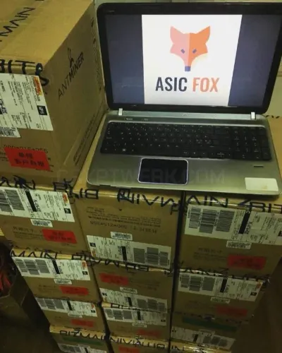 AsicFox photo