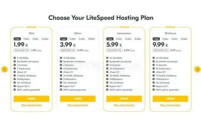 AvaHost photo