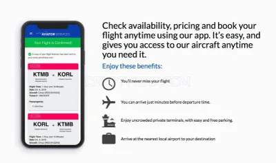 Aviatorservices.com photo