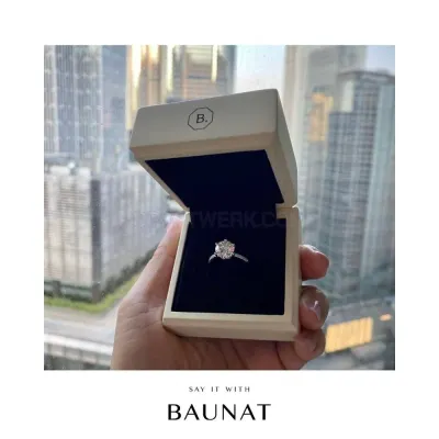 Baunat photo