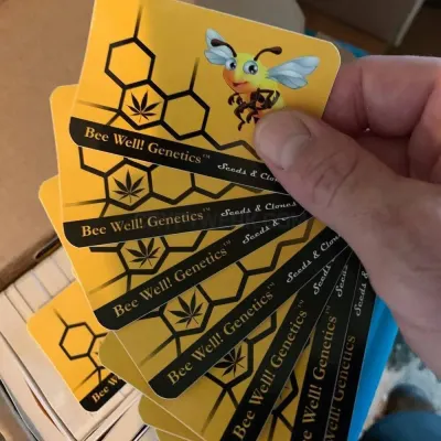 Bee Well Genetics photo