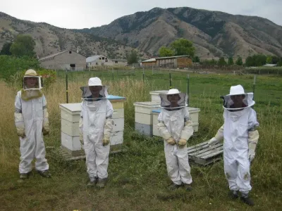Bees Brothers photo