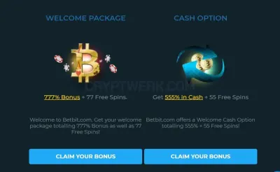 Betbit photo