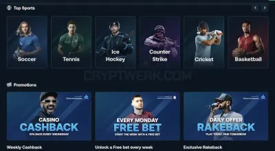 Betpanda photo