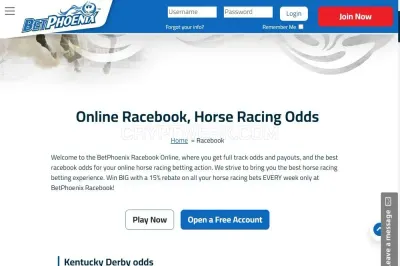 BetPhoenix Casino photo