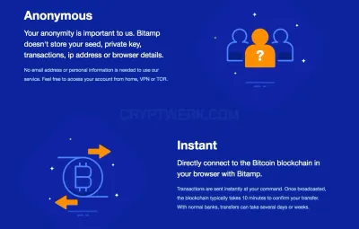 Bitamp photo