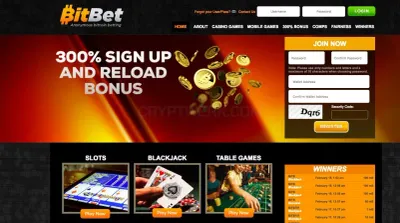 BitBet Casino photo