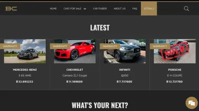 BitCars.eu photo