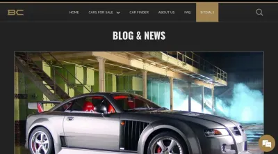BitCars.eu photo