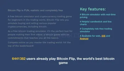 Bitcoin Flip photo