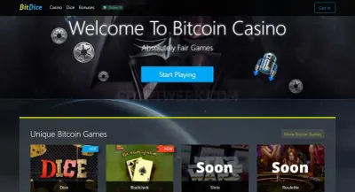 BitDice Casino photo