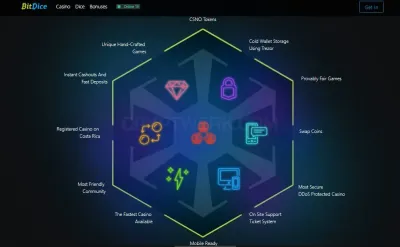 BitDice Casino photo