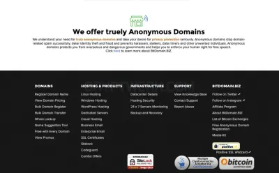 BitDomain.biz photo