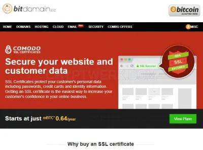 BitDomain.biz photo