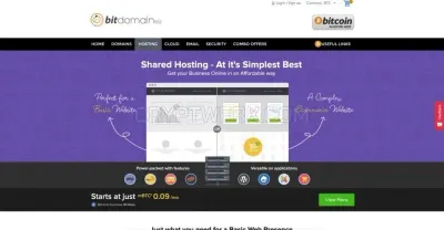 BitDomain.biz photo
