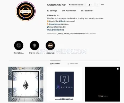 BitDomain.biz photo