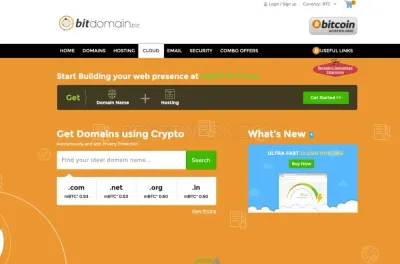 BitDomain.biz photo