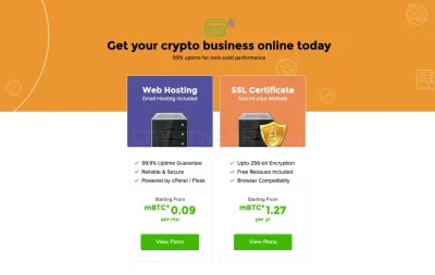 BitDomain.biz photo
