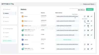 Bitfinex Pay photo