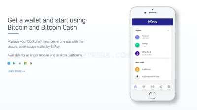 bitPay photo