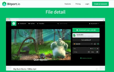 Bitport.io photo