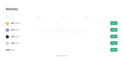 Bitxmi photo
