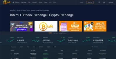 Bitxmi photo