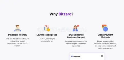 Bitzaro photo