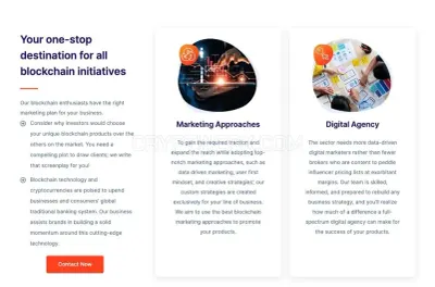Blockchain Marketing Ninja photo